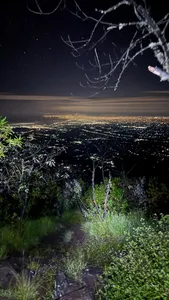 Night viewpoint over Bali with treetops and distant city lights, seen from a private Mount Agung sunrise trek