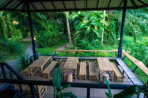 Covered wooden deck tables set for jungle dining, surrounded by dense palms and garden greenery, Khao Sok National Park