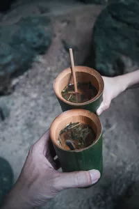 Bamboo cups of herbal drink clink in someone's hands during jungle dining at the eco-retreat, Khao Sok National Park