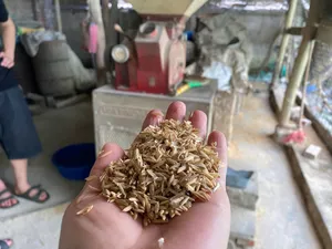 Hand holding dried brownish okara bits in the foreground, with a red soybean press in a Hanoi workshop