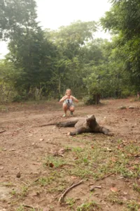 Traveller kneeling near a Komodo dragon on a dirt clearing surrounded by trees on Rinca Island during a Komodo day trip — Komodo dragons