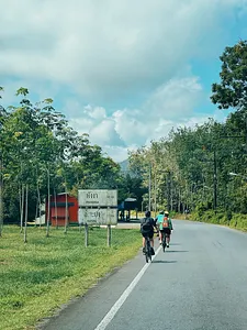 Cyclists pedal on a country road lined with trees and signboards, on a Half-Day Cycling & Rafting route in Khao Lak
