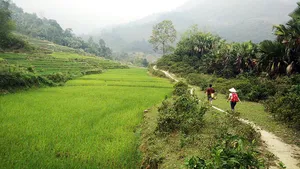 Ha Giang rice-terrace trek with a winding jungle trail between green fields, as travellers hike along a valley path