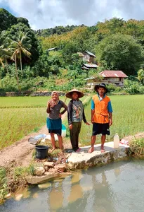 Travellers walking beside a village pond with rice fields during a hidden mangroves and village visit day trip, Labuan Bajo