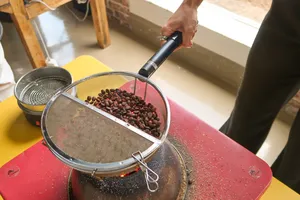 Seeker Yunnan Coffee Estate, Lijiang: close-up of hands sifting roasted coffee beans through mesh over a red roaster