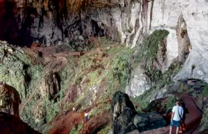 Person overlooking a steep, greenery-covered excavation pit with white limestone cliffs during a gold mine tour near Kuching
