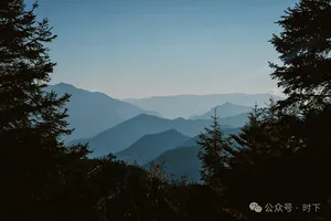 Mountain layers and misty ridgelines framed by pine trees in Shangri-La, a backdrop for Tiger Leaping Gorge hikes