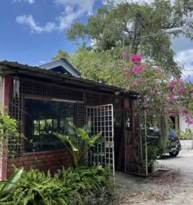 Langkawi studio courtyard with flower vines and a wooden village workshop building beside an open gate