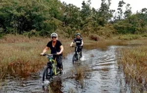 Bicyclists wading through a muddy jungle track with wetlands on either side, riding past shrubs near Kuching