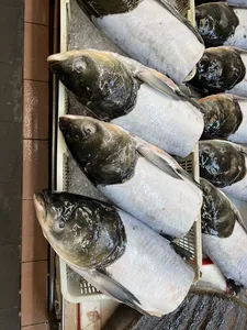 Fresh fish laid side by side on a market stand in Chinatown, Singapore, with dark-skinned whole fish on ice