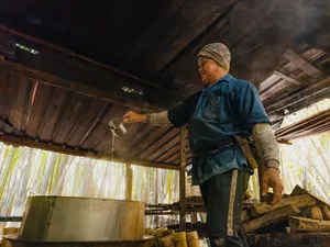 古晋 Tanoti Crafts 的工人在高脚屋屋檐下倒入棕榈树汁,将罐子装满,用于制作棕榈糖