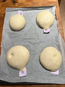 Unbaked shio pan dough balls on lined baking paper labelled into portions during prep for workshops in Singapore