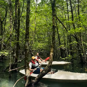 Travellers on kayaks glide under overhanging mangrove branches in Langkawi, surrounded by calm river water on a Selva-led trip