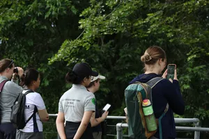 Small group on a forest walkway photographing wildlife with cameras and binoculars during an ethical nature tour in Cat Tien