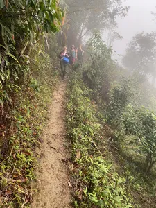 Ha Giang trek trail through dense greenery and morning mist, travellers walking the narrow dirt path to reach the villages