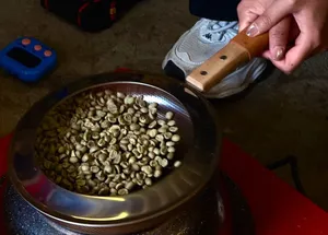 Hand turning coffee beans in a metal pan on a workshop stove, showing the processing stage for Yunnan coffee in Lijiang