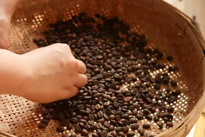 Roasted coffee beans poured and sorted by hand in a basket at a specialty coffee farming-family workshop in Lijiang
