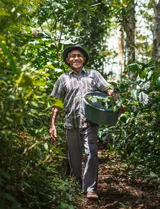 Bali Beans farmer smiling while carrying a harvest basket along a shaded path through an organic coffee plantation in Kintamani, Bali