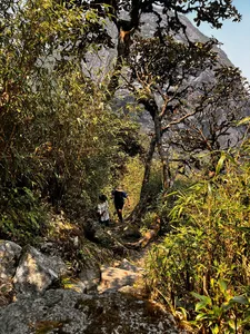Trekker walks along a rocky mountain route between bamboo and scrub near Mt Fansipan in Sapa on the eco trail