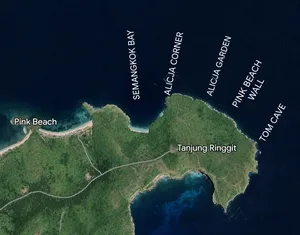 Route map of Lombok showing dive stops along the coast, including Pink Beach and Tanjung Ringgit, plus other labelled sites