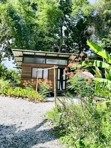 Tidy wooden cabin and landscaped garden at Kebun Lidstari permaculture farmstay in Langkawi, surrounded by tropical greenery