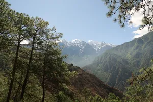 Snowy mountain ridgeline and green pine forest over Tiger Leaping Gorge high trail on a 2D1N hike from The Bivou Lijiang