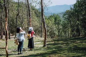 Dua pengembara berhenti di hutan dengan pokok-pokok tinggi, dengan banjaran gunung di kejauhan, di laluan pemanduan peribadi di Yunnan Utara