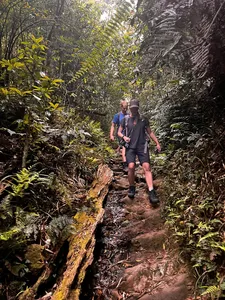 Trekkers make their way along a muddy rainforest trail in Sapa on a low-waste hike, stepping past ferns