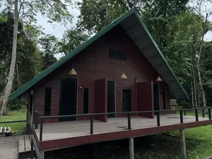 Forest setting of a wooden lodge on stilts with green roof at Sukau Greenview Lodge in Sandakan, Kinabatangan River