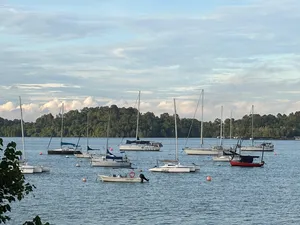 Sailboats with white hulls anchored in a wide bay as seen from the shoreline, calm waters near Singapore on a farmstay getaway