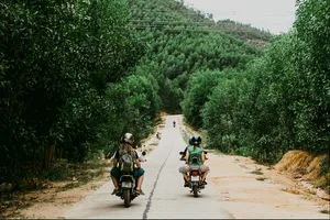 Motorcyclists ride along a quiet country road through green trees towards hills in Hoi An on a secret waterfall adventure