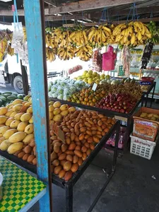 Close view of a Langkawi fruit and produce stall with bananas overhead and stacked oranges and other tropical fruits on counters