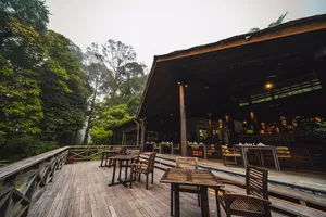 Open-air veranda with wooden tables and warm lamps outside a Danum Valley rainforest lodge at dusk in Sabah