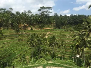 Semua