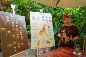 Bali Conservation Adventures volunteer next to a Bali Dogs information board, explaining the heritage dog conservation work in Bali