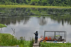 Traveller on a wooden dock by a calm river in Cat Tien with wildlife-viewing equipment, during a private 3D2N ethical tour