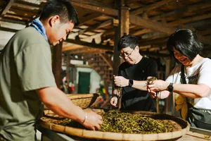 Daun teh disortir di atas tampah anyaman saat para pelancong mempelajari proses pengolahan teh tradisional Xishuangbanna dalam perjalanan sehari pribadi