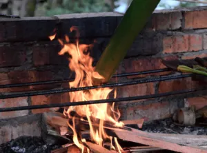 Open-fire cooking at Ngapuh Homestead: flames burning in a brick fireplace over a metal grill amid rainforest greenery
