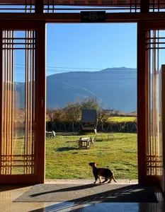 Open wooden doorway framing a grassy garden and mountains at Seeker Yunnan Coffee Estate in Lijiang, with a dog in the foreground