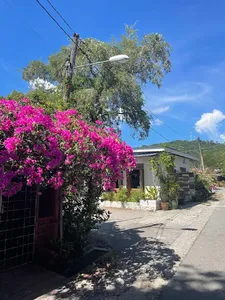 Sunlit village lane by Ilham Ceramic in Langkawi, framed by bright bougainvillea, potted plants and a white studio building.