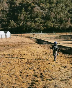 Backpack hiker on Jade Dragon Snow Mountain near Lijiang walks past fenced grazing land and greenhouse shelters