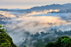 Misty Danum Valley rainforest canopy over cloud-filled hills, viewed from Borneo Rainforest Lodge surroundings