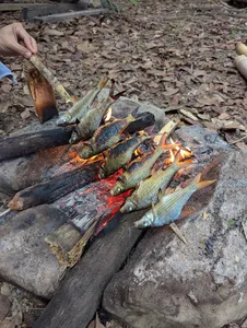 Grilled fish roasting over an open fire at Ngapuh Homestead, Kuching rainforest, for a 2D1N regenerative homestead experience