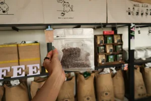 Hand lifting a bag of roasted coffee beans in a family-run coffee workshop in Lijiang, part of a specialty cupping