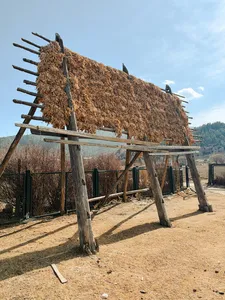 Wooden rack piled with dried thatch in a rustic yard near Shangri-La, a camp for Ferme Liotard’s Tibetan valley treks