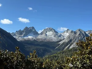 Scenic mountain panorama in Shangri-La seen over forest-green slopes, with distant snowfields and glaciers under a bright sky