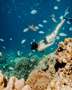 Snorkeller swimming over Surin Island coral and reef fish during a 2D1N Moken-led trip from Khao Lak