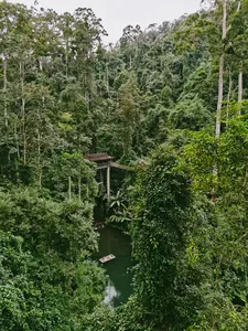Kanopi hutan hujan yang rimbun di atas sungai yang tenang di Xishuangbanna saat perjalanan sehari pribadi, salah satu rute Sam