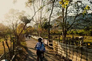 A cyclist in Langkawi heads down a shaded country lane as other riders follow on a Bicycle Day Langkawi ride