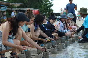 Rinca Coral Nursery Program team guiding travellers to plant coral into cement blocks in shallow water during a Labuan Bajo trip